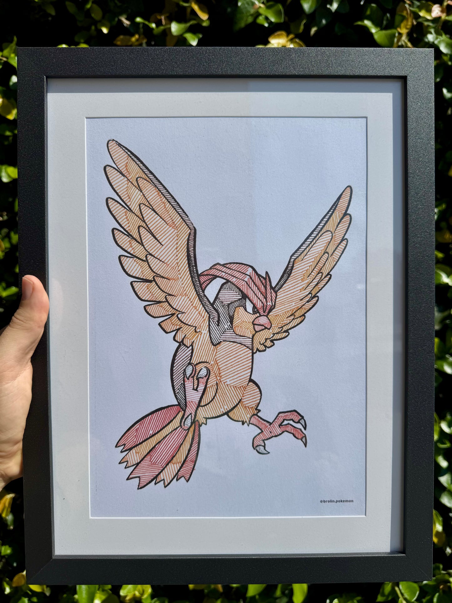 3 Prints - Pidgey Evolution Line