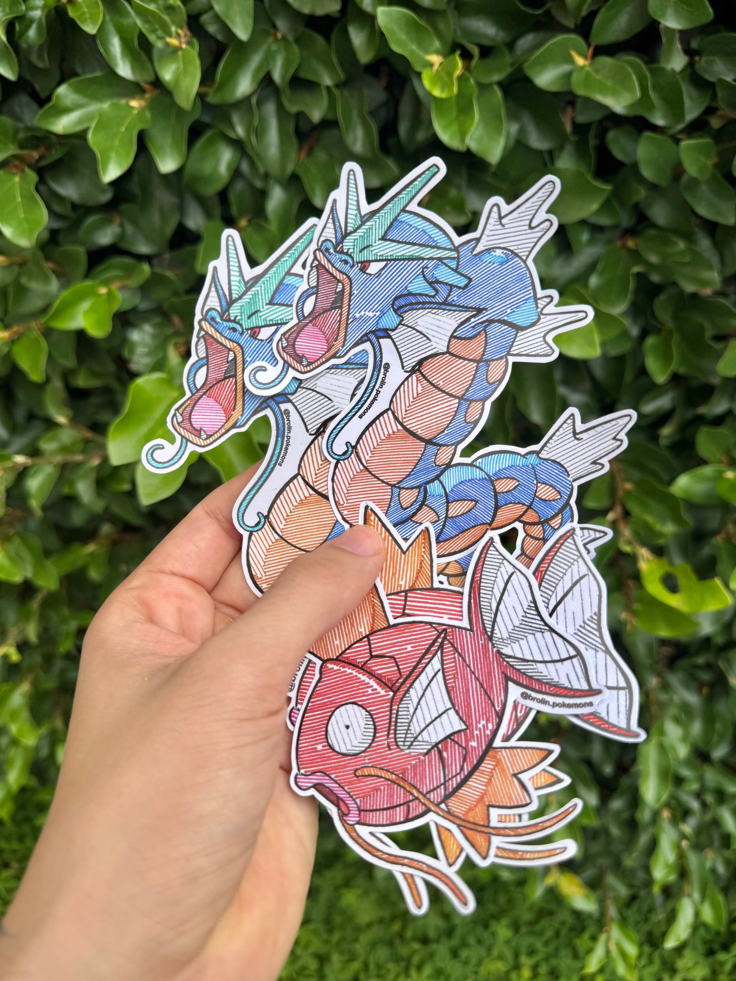2 Gyarados + 2 Magikarps