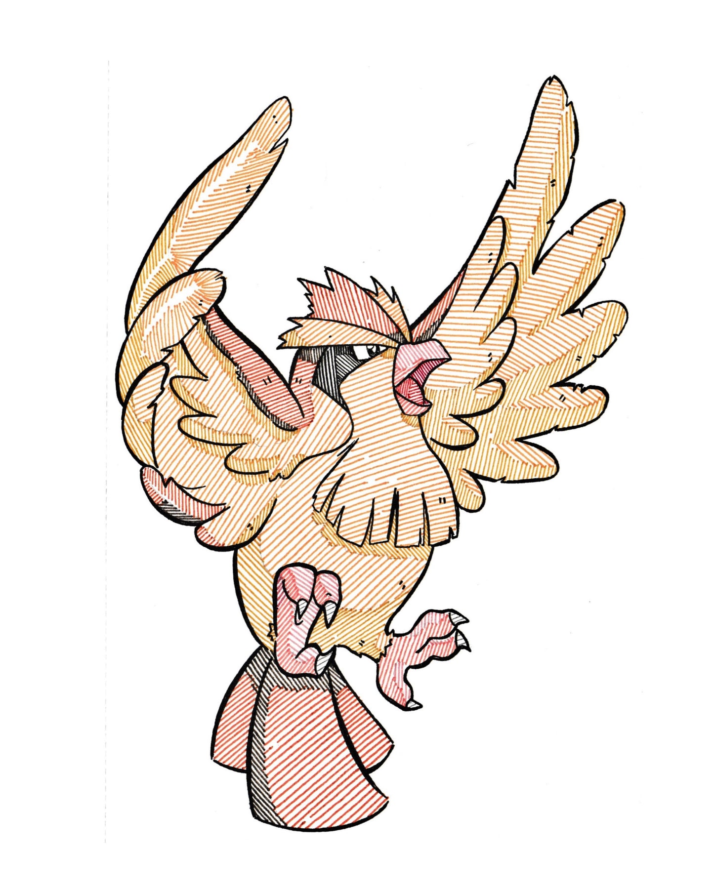 3 Prints - Pidgey Evolution Line