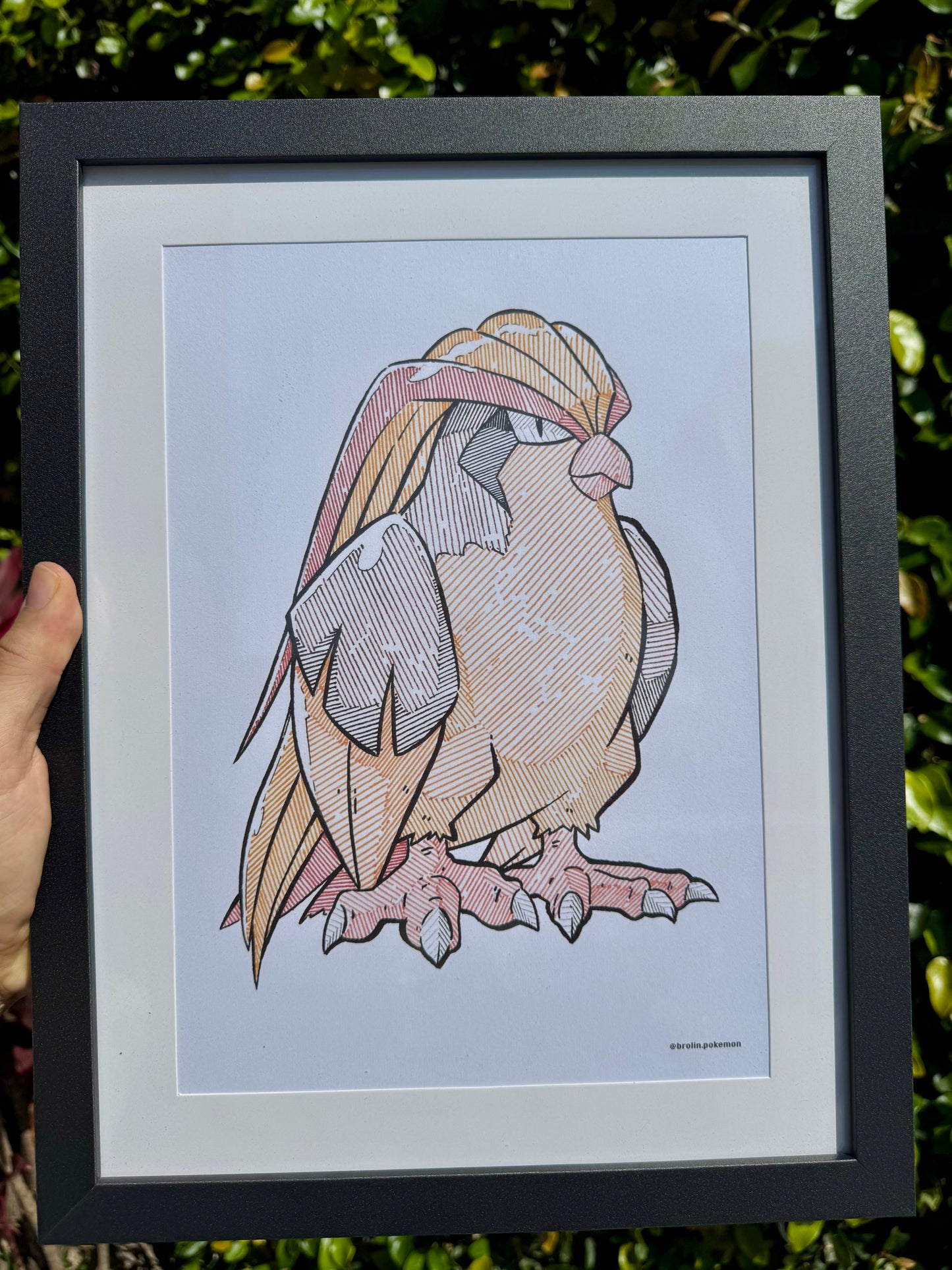3 Prints - Pidgey Evolution Line