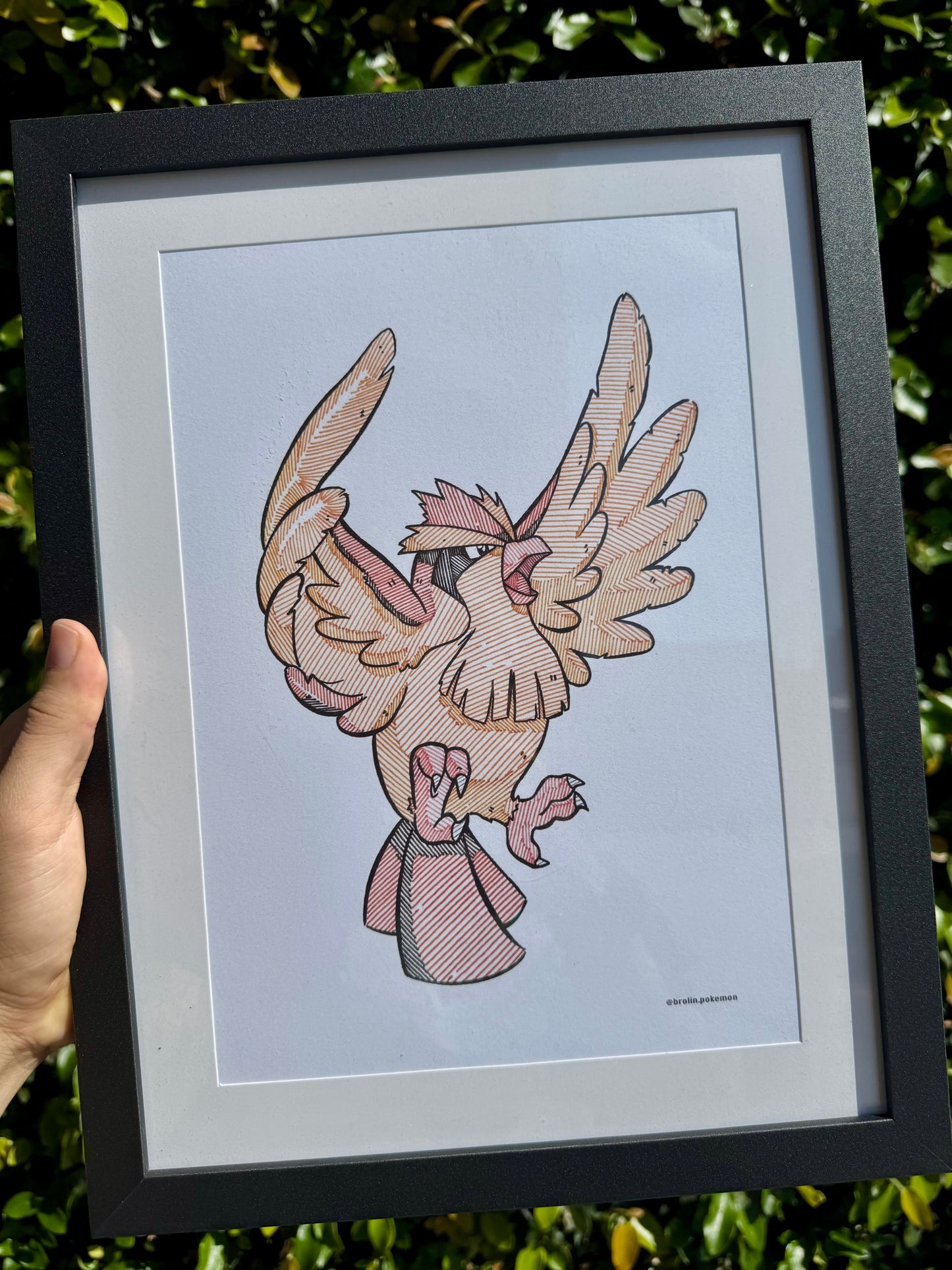 3 Prints - Pidgey Evolution Line