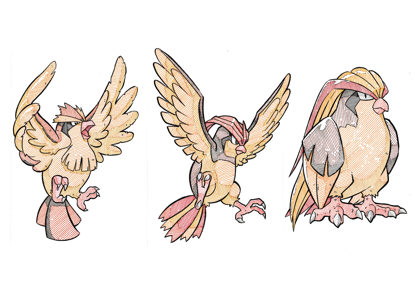 3 Prints - Pidgey Evolution Line
