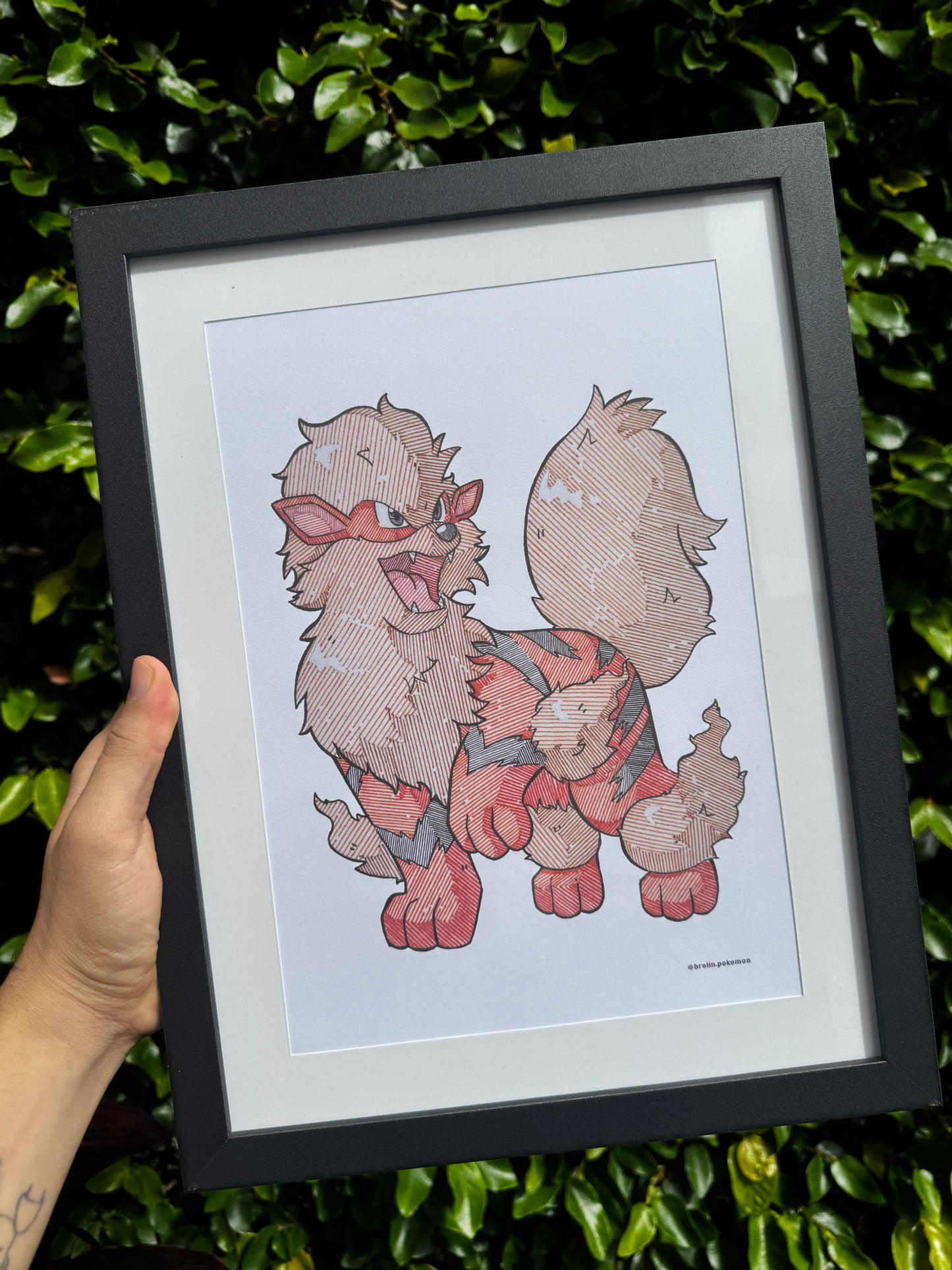 Arcanine Print